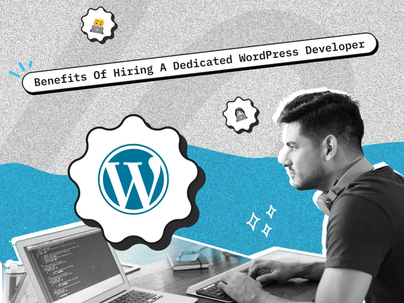 WordPress Development Website Preview